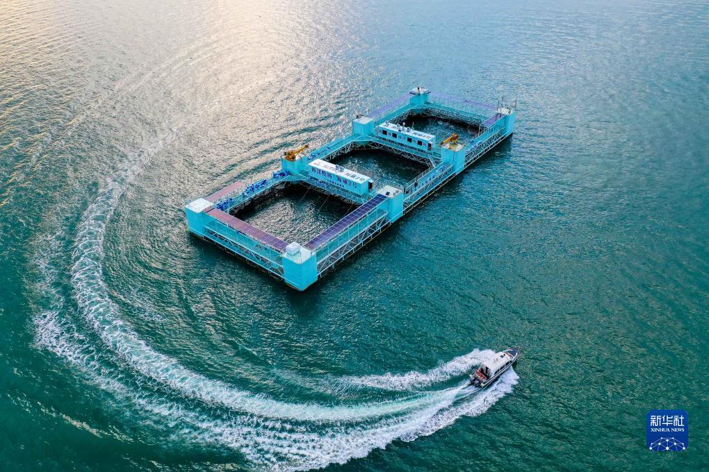 棋牌娱乐送金